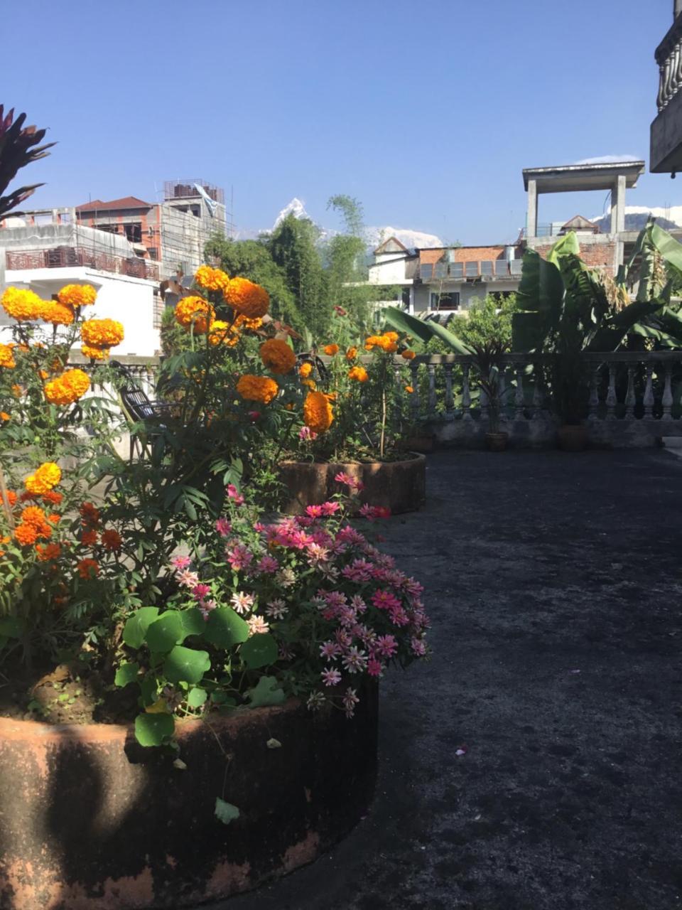 Sacred Valley Inn Pokhara Exterior photo